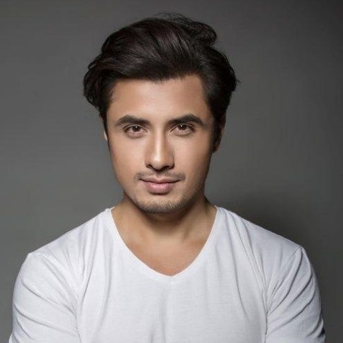 Ali Zafar feedback